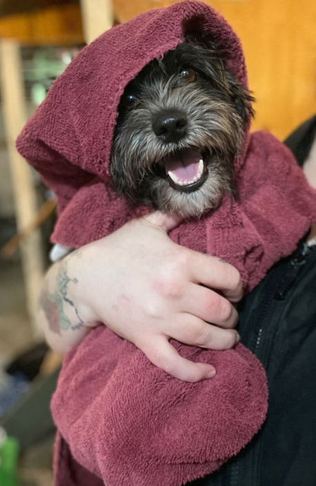 Pepper showing his personality