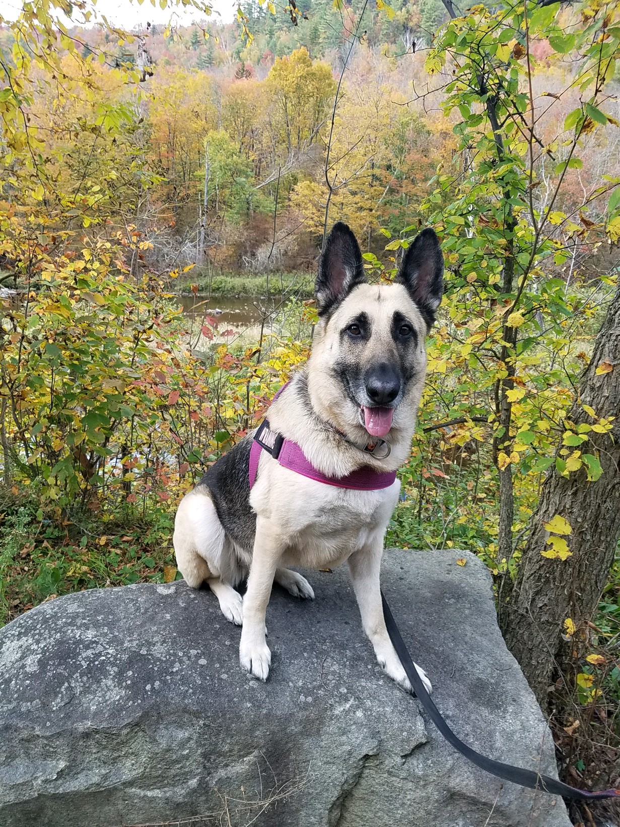 Sage enjoying calm care