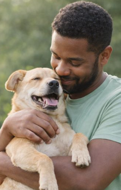 Calm dog care environment